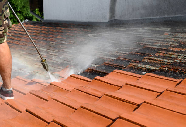 Best Pressure Washing Services Near Me  in Plainview, MN