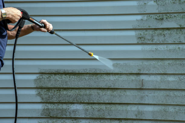 Best Exterior Home Cleaning  in Plainview, MN