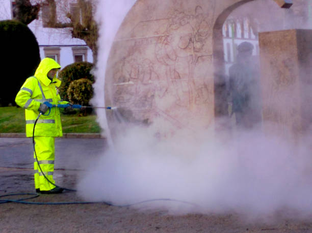 Best House Pressure Washing  in Plainview, MN