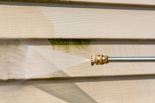 Best Best Pressure Washing Companies  in Plainview, MN