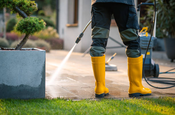 Best Commercial Building Pressure Washing  in Plainview, MN
